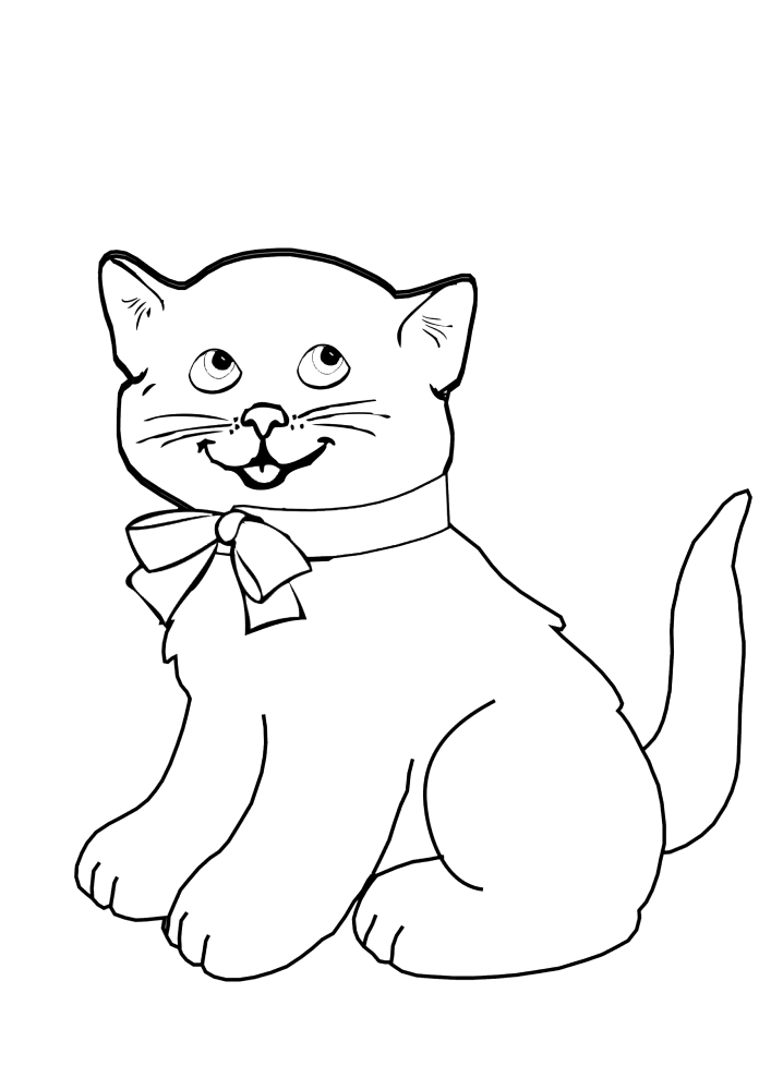 Katze mit Bogen lächelnd